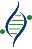 Otomotiv